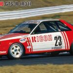 Hasegawa Ricoh Skyline GTS-R Model Kit