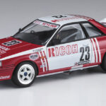 Hasegawa Ricoh Skyline GTS-R Model Kit