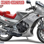Hasegawa Kawasaki KR250 (KR250A)