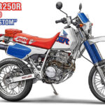 Hasegawa Honda XLR250R Motard Custom